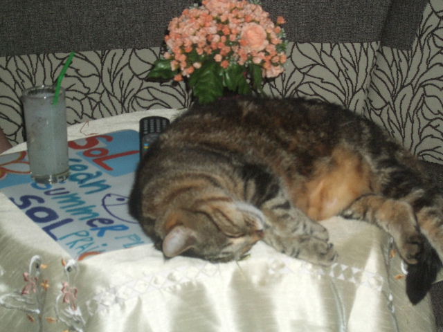 Copie de Vacances_Août2012 (105).JPG