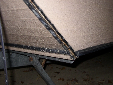 Joint angle (1).jpg