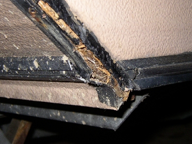 Joint angle (2).jpg