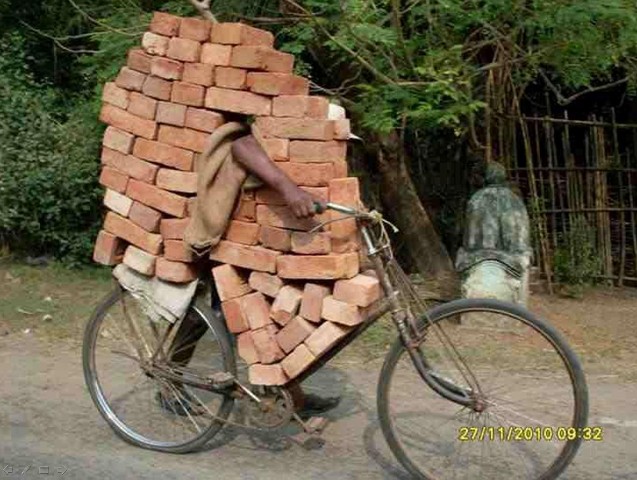velo transport.jpg