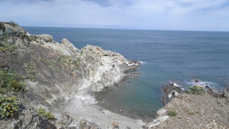 P4200029.jpg