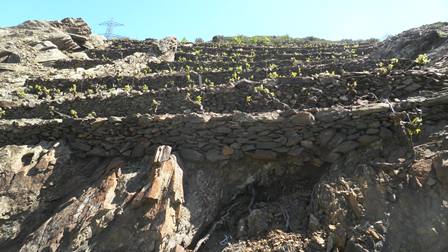 P4220118.jpg