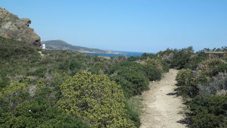 P4220115.jpg