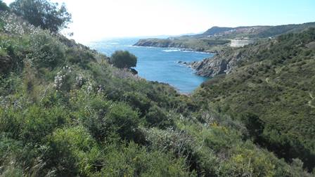 P4220090.jpg