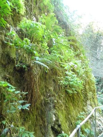 P4240034.jpg