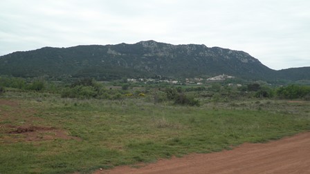 P4250005.jpg