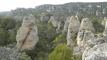 P4250057.jpg