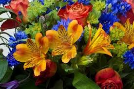 fleurs.jpg