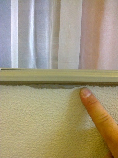 JOINT CARA 2.jpg