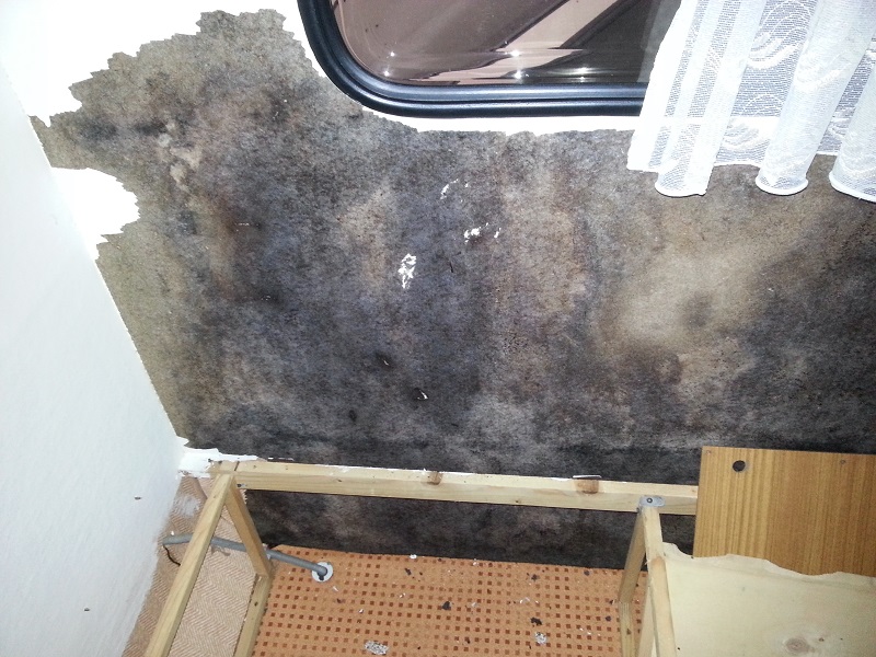 20131103_121537.jpg
