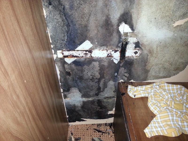 20131103_121610.jpg
