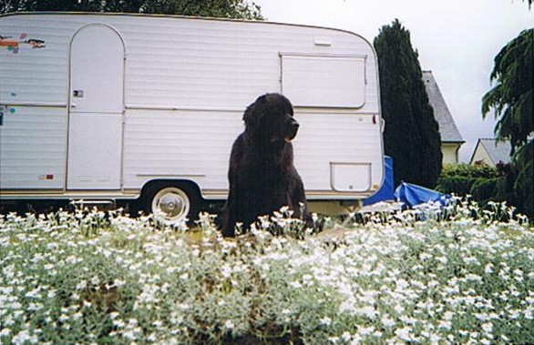 uriane a son domicile 001.jpg