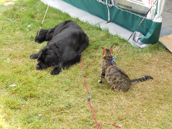 mont dore 2010 67 3.JPG