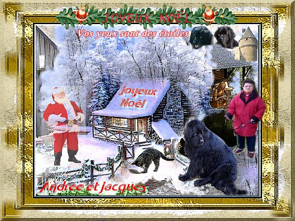 joyeu noël 2011.jpg