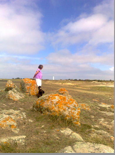 ile d'yeu.jpg