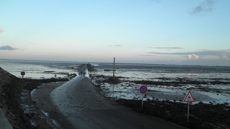 NOIRMOUTIER 005.jpg