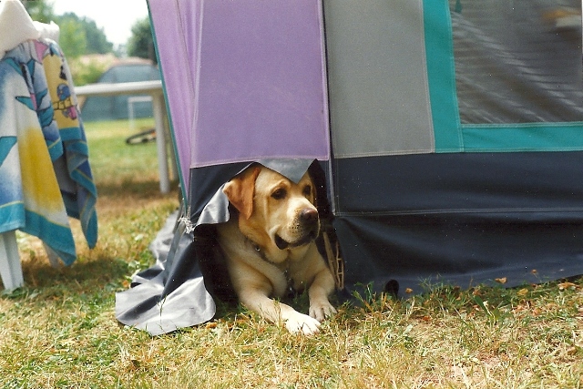 Irun à Masseube-1997.jpg