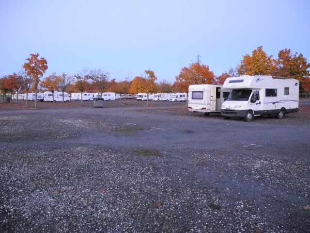 DodoParking1 (Small).jpg