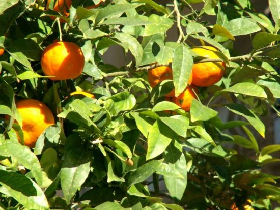 PICT0189.JPG