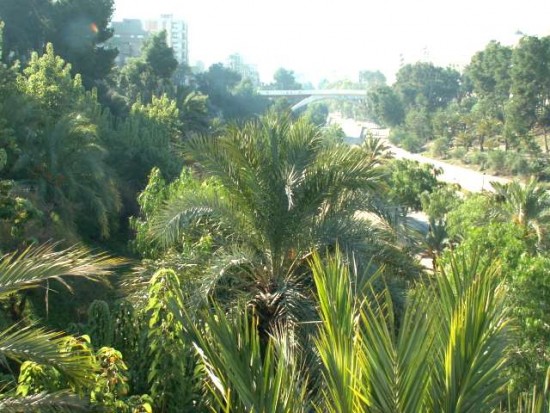 PICT0113.JPG