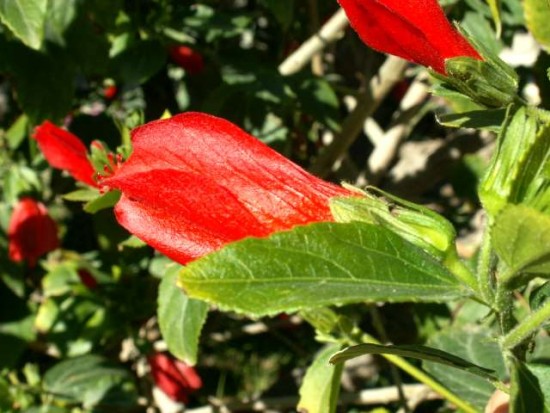 PICT0272.JPG