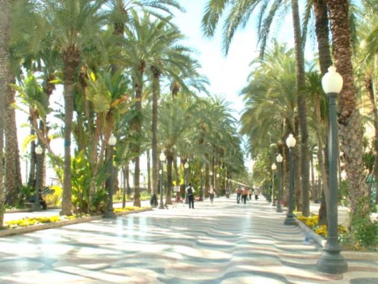 Promen d'Espagne ALICANTE - PICT0175 - Photo Mjo.JPG