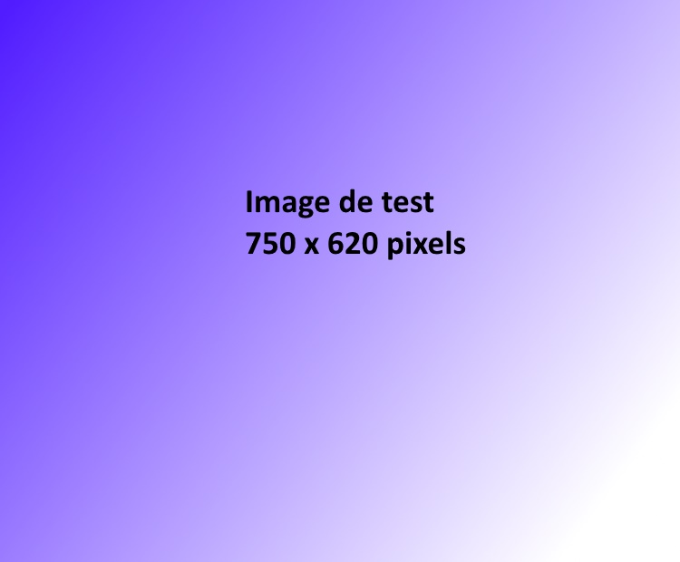 image-750x620pixels.jpg