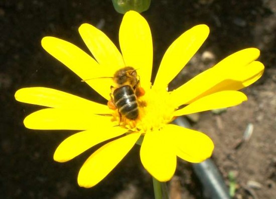 PICT0414.JPG