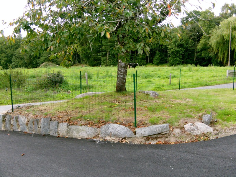 FILE0034 - Copie.JPG