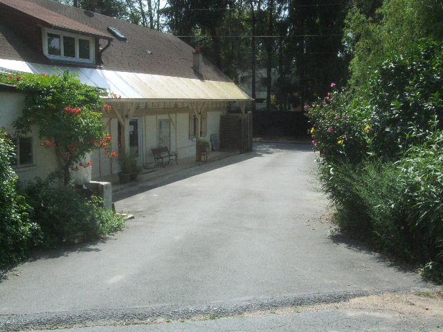 DSCF8023.JPG