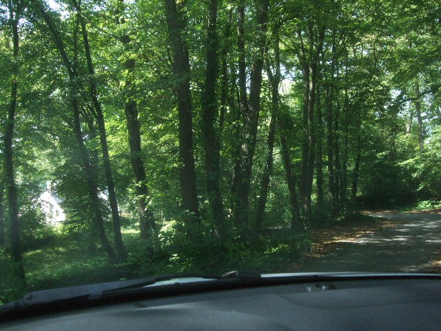 DSCF8036.JPG
