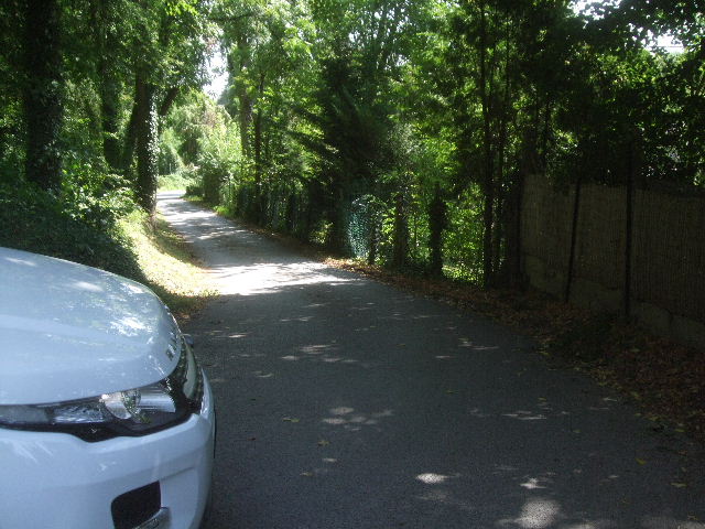 DSCF8038.JPG