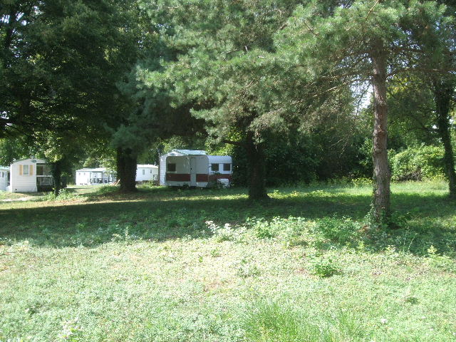 DSCF8024.JPG