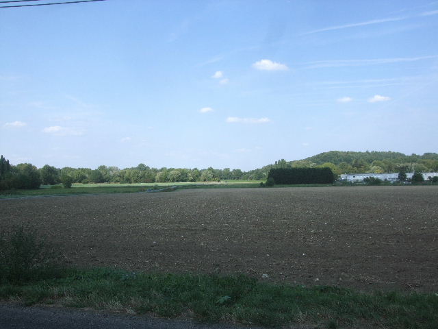 DSCF8051.JPG