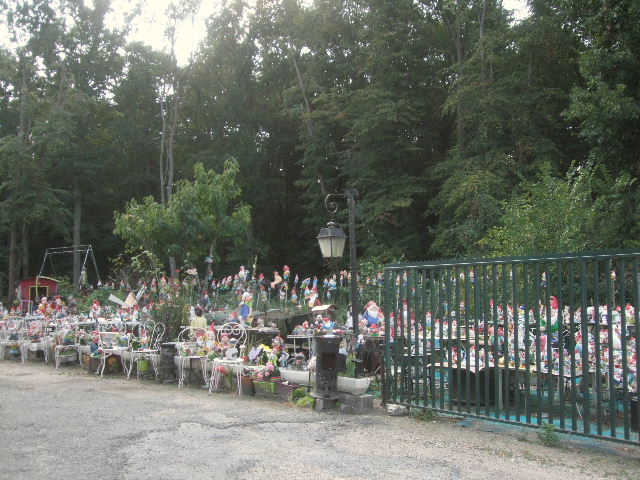DSCF8049.JPG