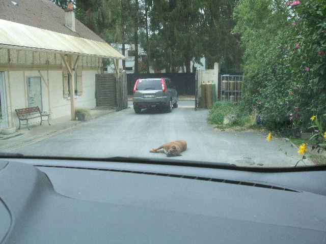 DSCF8211.JPG