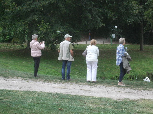 DSCF8230.JPG