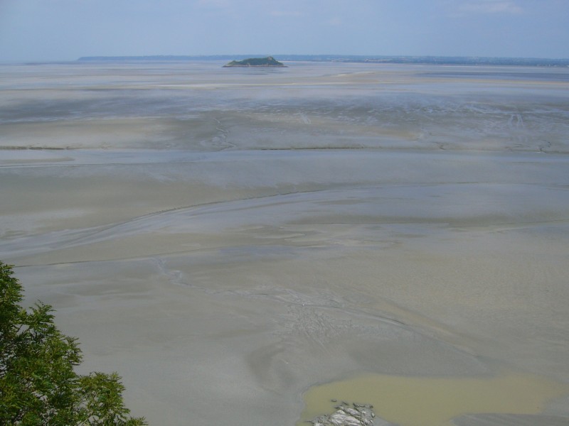 P1000750.JPG