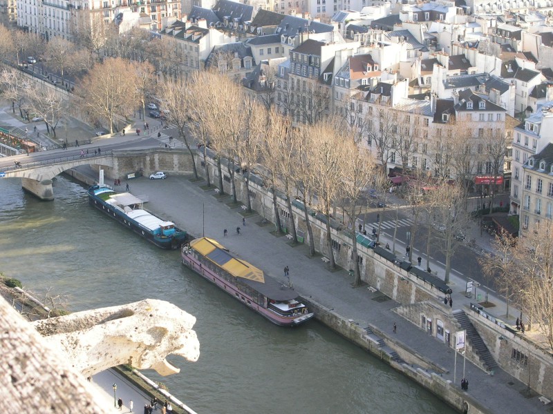 PICT0031.JPG