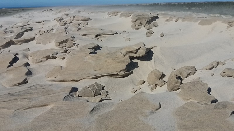 dune de sable blanc a RABJERG MILE (2).jpg