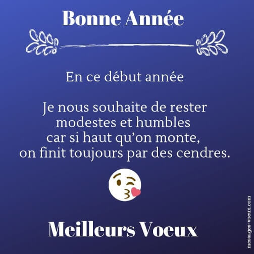 drole-carte-bonne-annee-humour-messages-voeux-droles-souhaits-comiques.jpg