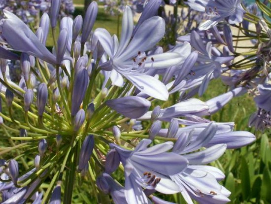 PICT0133.JPG