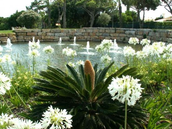 PICT0295.JPG