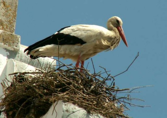 PICT0150-1.JPG