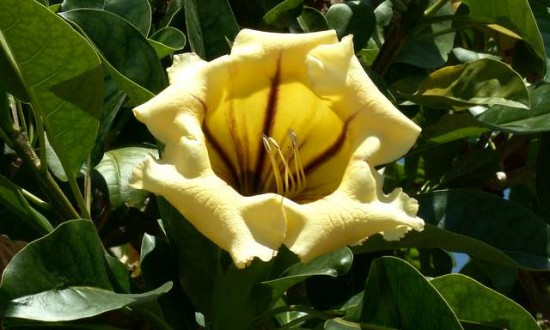 PICT0330.JPG