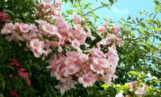 PICT0296.JPG