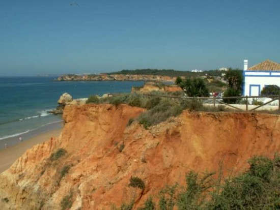 PICT0486.JPG