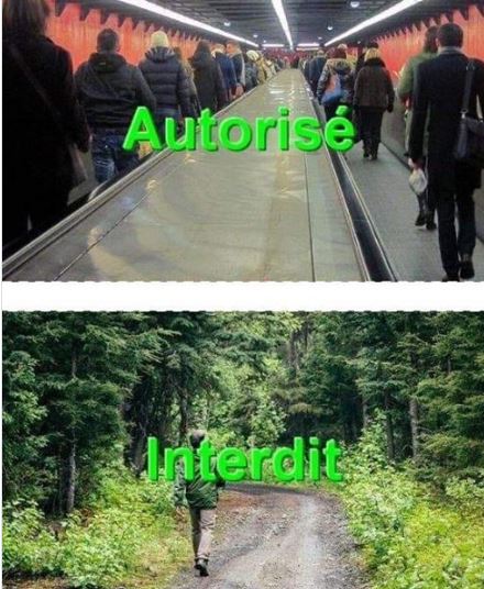 autorisé.JPG