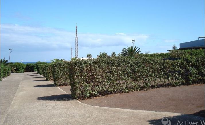 PANORAMICA_PARCELAS1.jpg