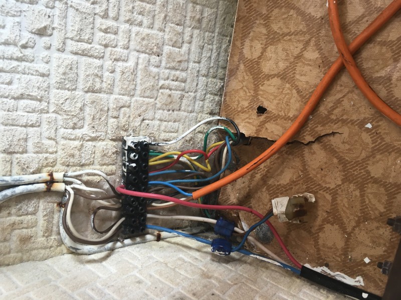 997020EC-F10E-49BD-A8DC-DD45B46AFEF1.jpeg